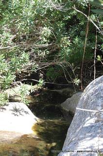 ntana Paradiso-15-05-2014 17-41-31